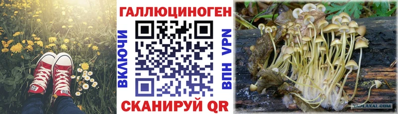 что такое наркотик  hydra ССЫЛКА  Псилоцибиновые грибы Magic Shrooms  Обнинск 