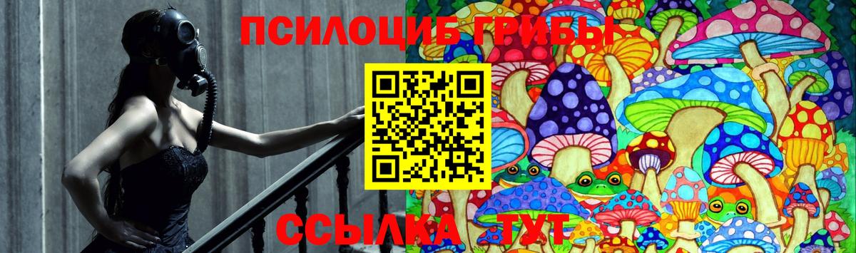Псилоцибиновые грибы прущие грибы Обнинск