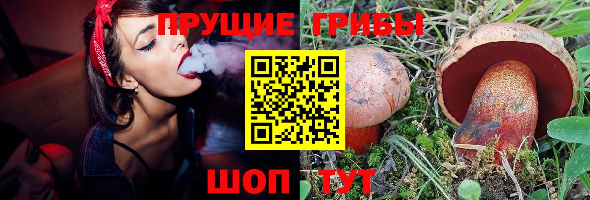 Псилоцибиновые грибы прущие грибы Обнинск